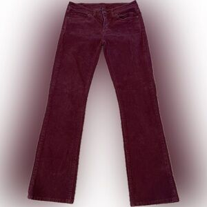 Patagonia Women's Purple Organic Cotton Corduroy Pants Plum - Size 29